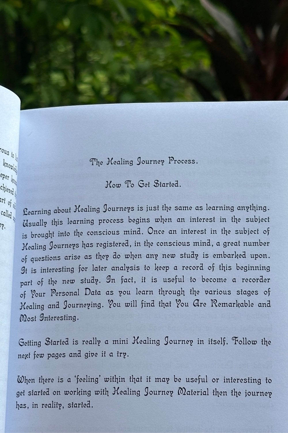 "The Healing Journey Process. How To Get Started." reads a page from "Divine Journeys of Healing." Lush foliage surrounds the book.