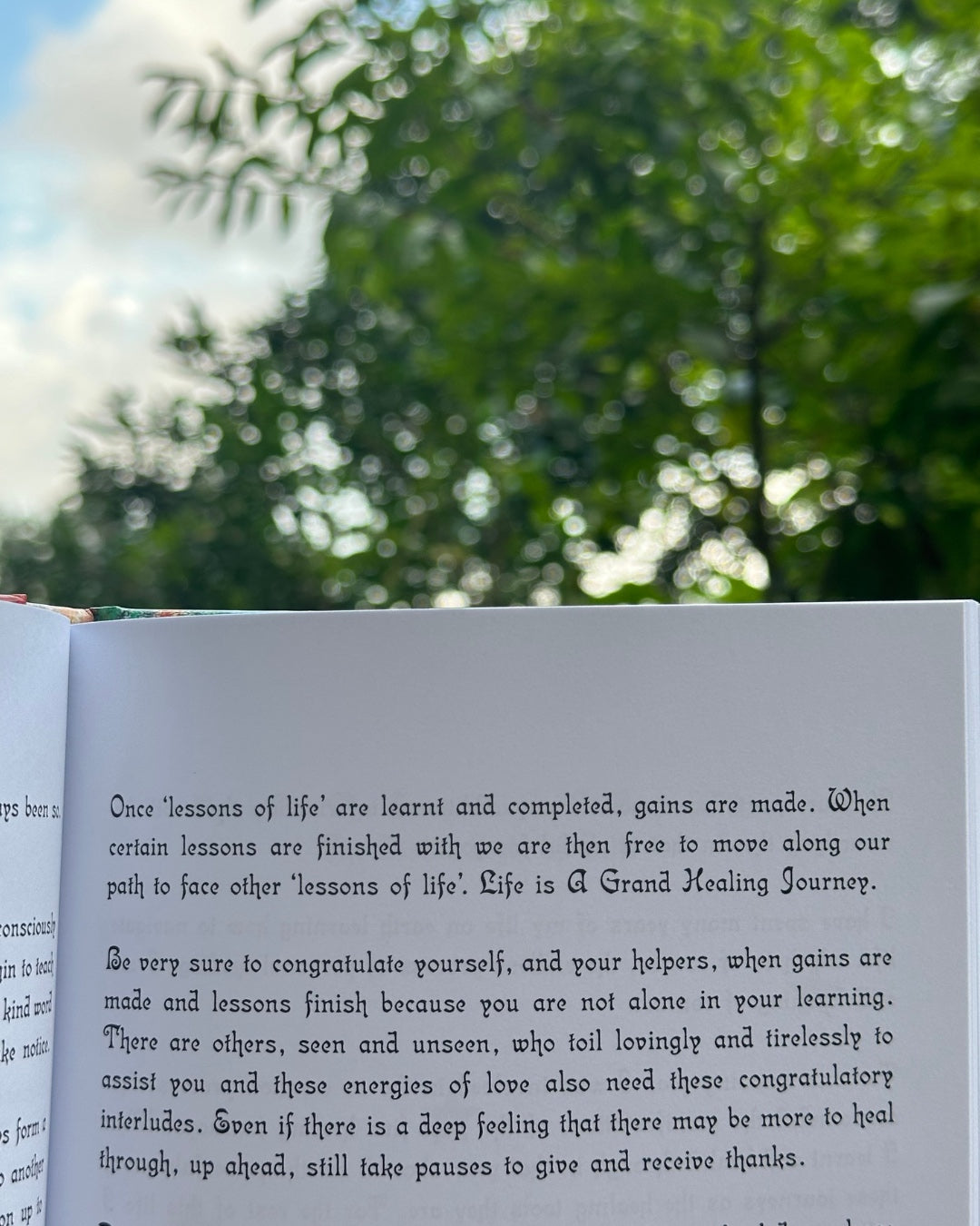 "Once lessons of life are learnt and completed, gains are made." reads a page from "Divine Journeys of Healing." Lush foliage surrounds the book.